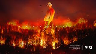 Peta: LEATHER IS LETHAL / FIRE